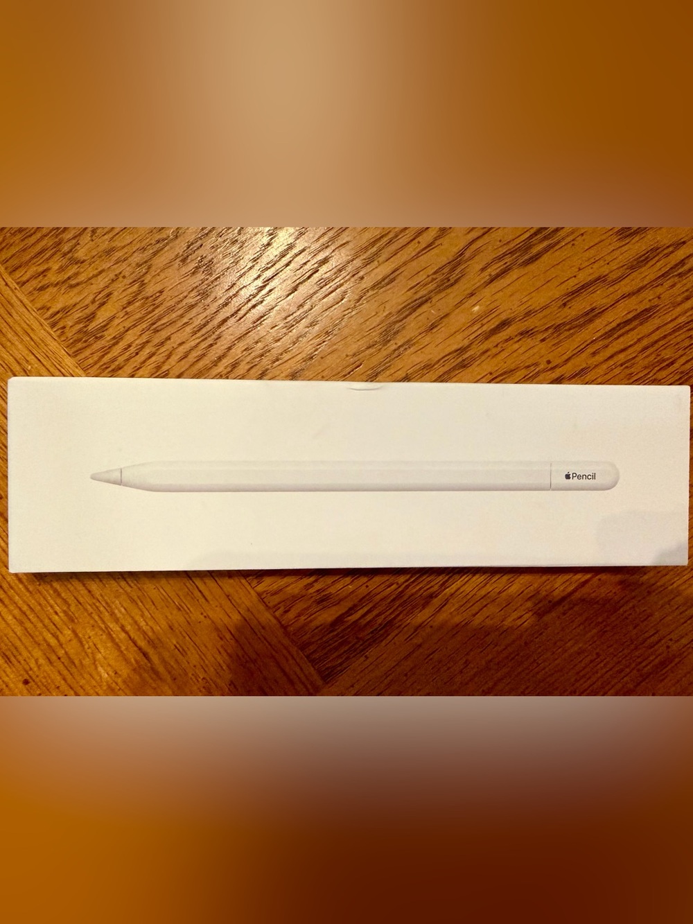 Apple Pencil USB‑C